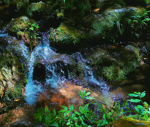 中国·1277星际电子游戏(股份有限公司)-Official website